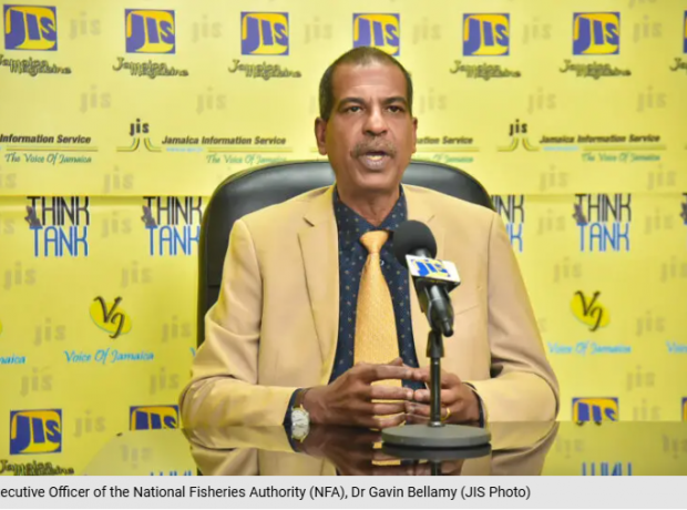 Catastrophic fisheries sector damage Jamaica at the Whitehouse fishing beach.