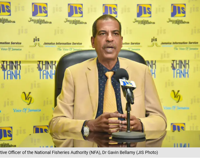 Catastrophic fisheries sector damage Jamaica at the Whitehouse fishing beach.