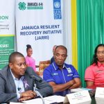 Minister Floyd Green speaking about the Youth Agriculture Grant Jamaica at the UNDP briefing.