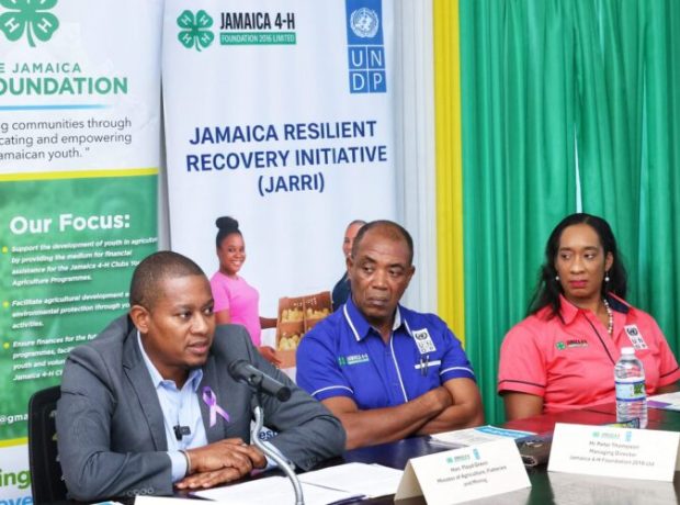 Minister Floyd Green speaking about the Youth Agriculture Grant Jamaica at the UNDP briefing.