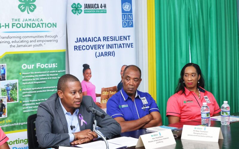 Minister Floyd Green speaking about the Youth Agriculture Grant Jamaica at the UNDP briefing.